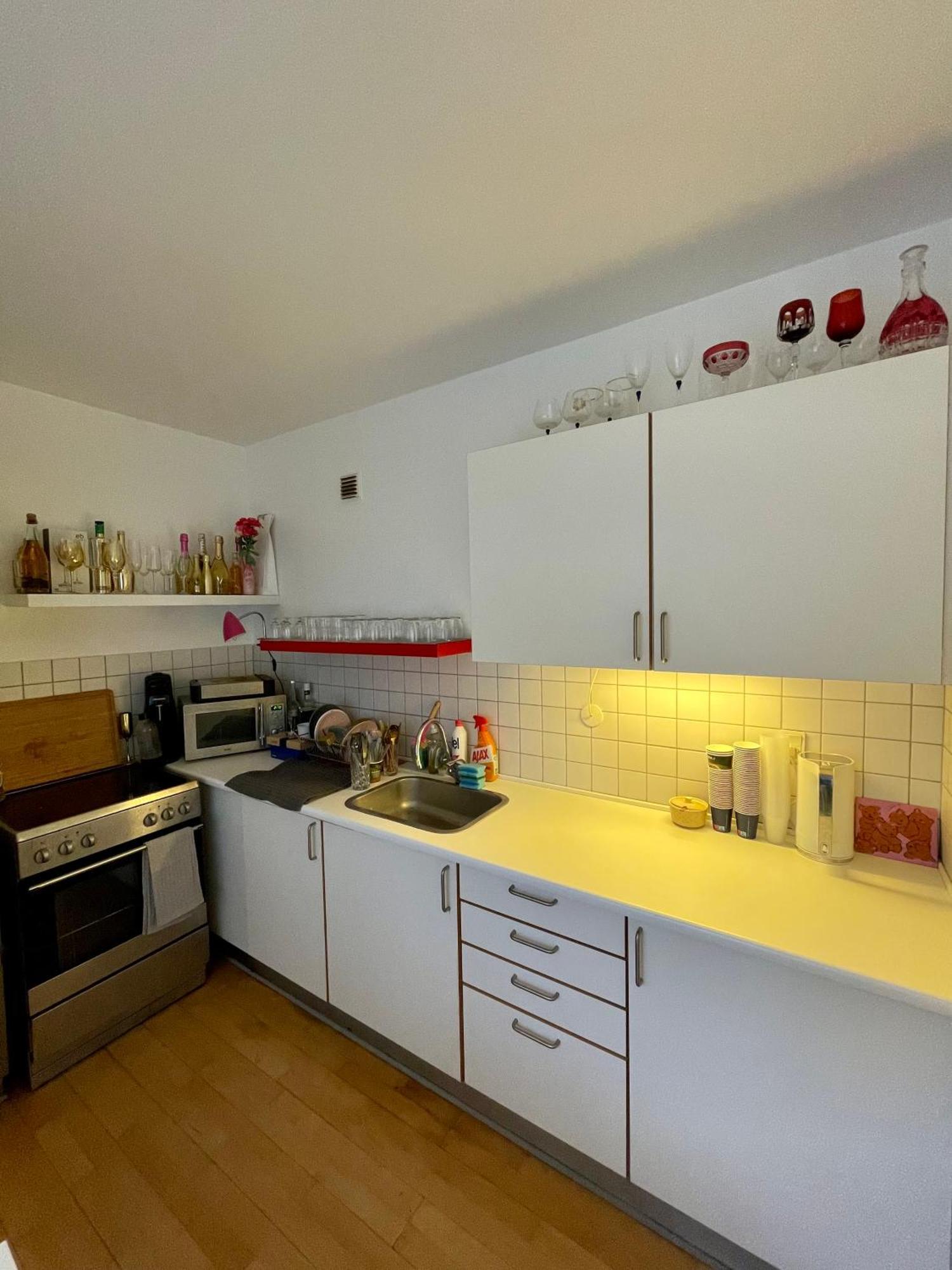 Lejlighed Med Udsigt Til Frederiksberg Have Copenhague Exterior foto
