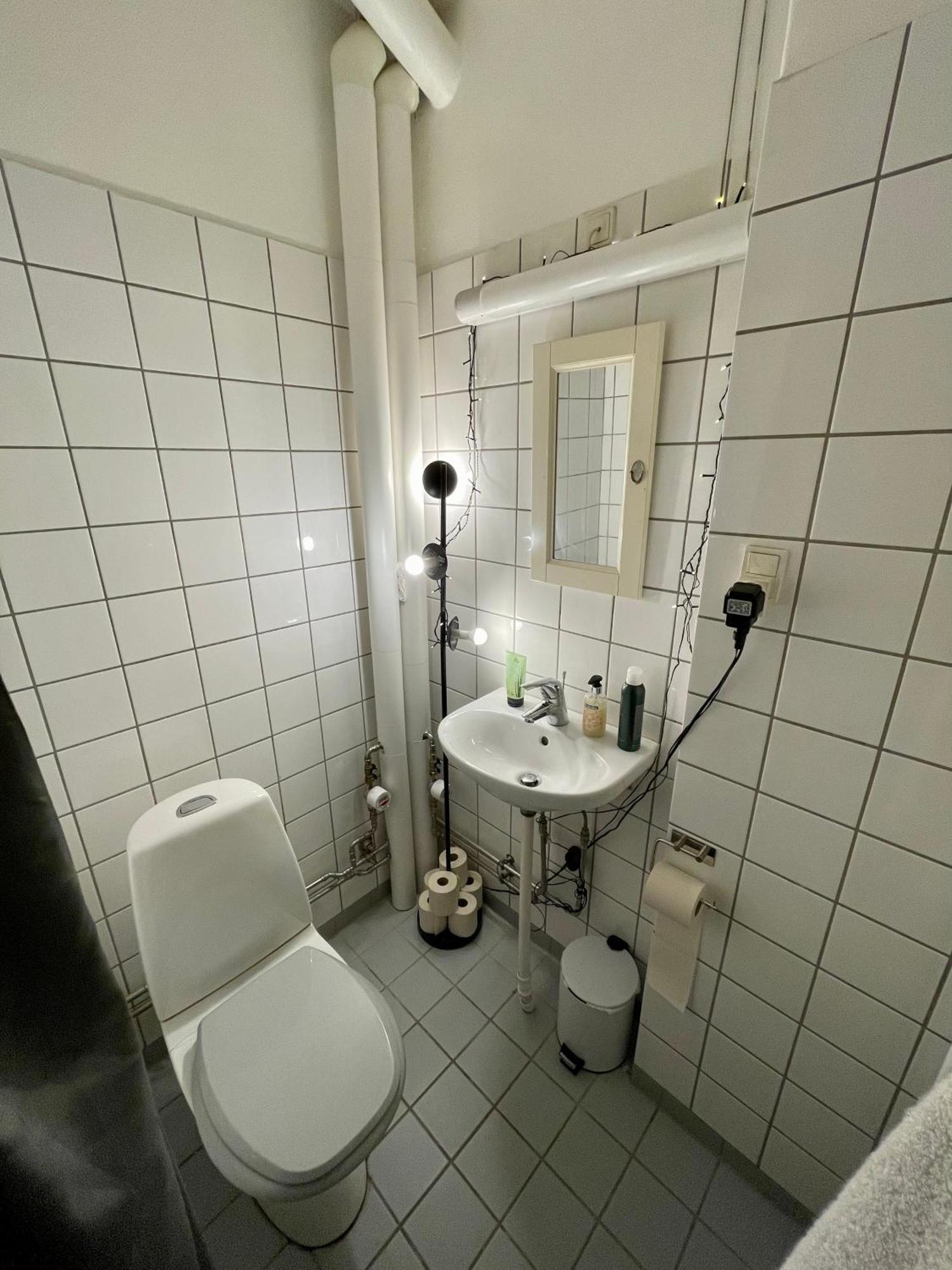 Lejlighed Med Udsigt Til Frederiksberg Have Copenhague Exterior foto